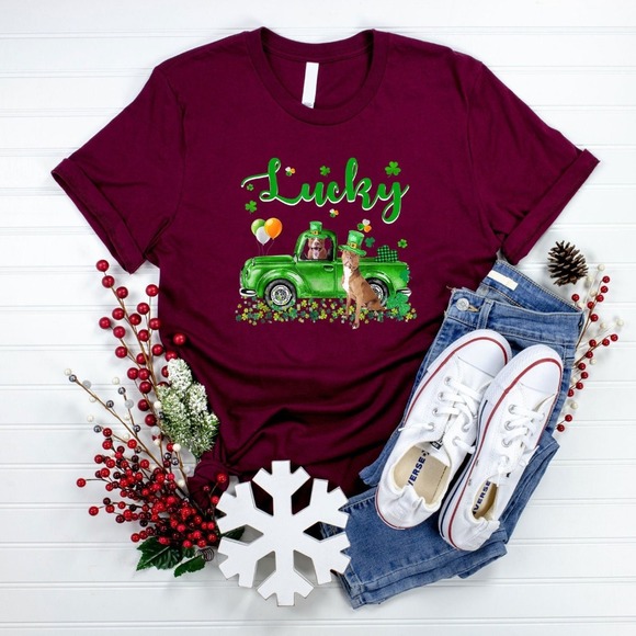 Lucky Shirt, St Patrick's Day Shirt, Happy St Patrick's Day Shirt, Gnome Shirt - Picture 1 of 2